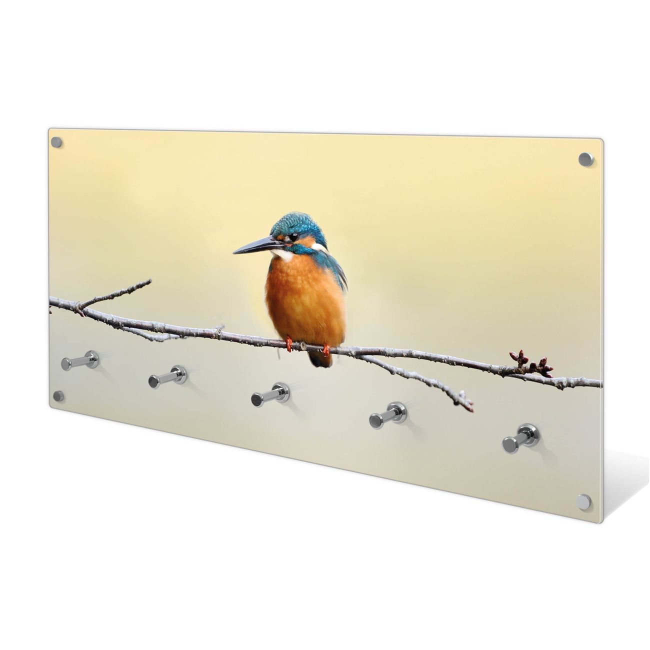 banjado Wandgarderobe aus Echtglas, 80x40cm groß, Paneel mit 5 Haken und Motiv Pause, Garderobenleiste mit Montagematerial, Design Flurgarderobe