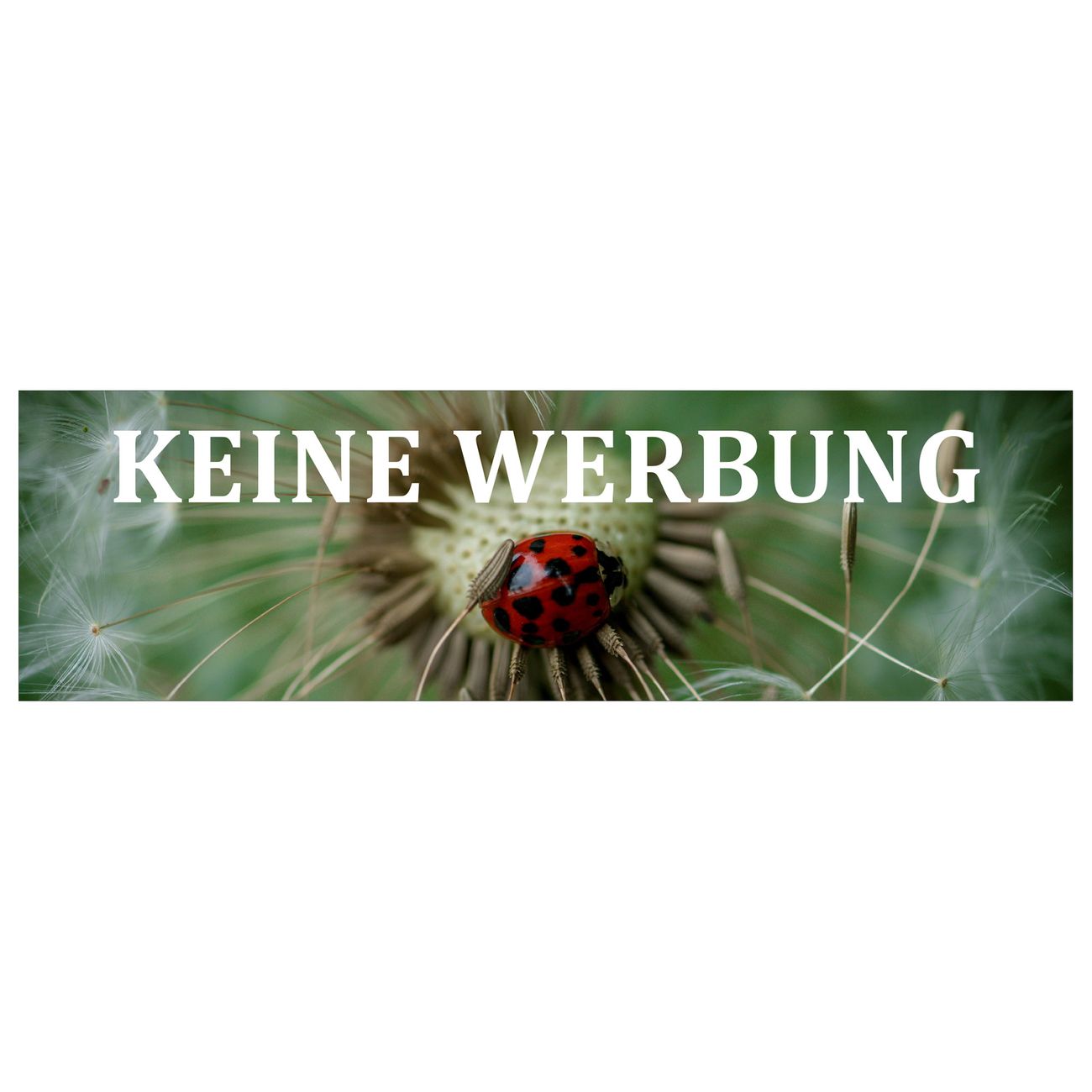 KEINE WERBUNG Aufkleber für Briefkasten Pusteblume