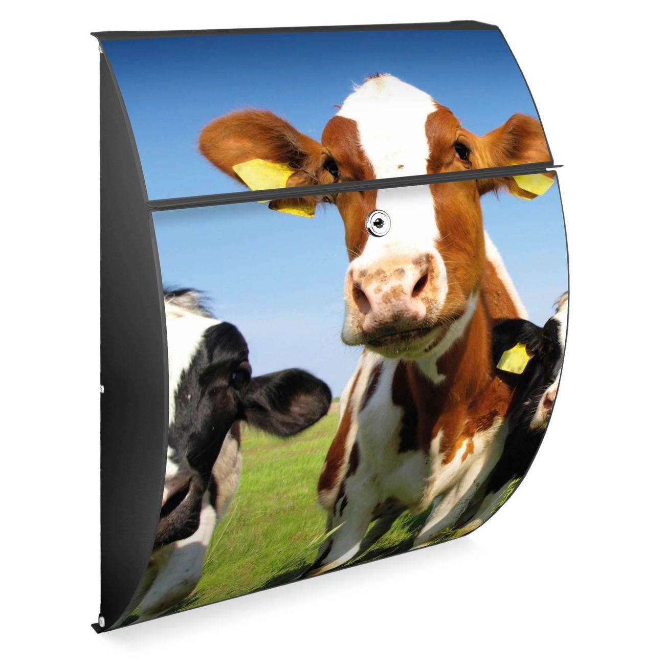 banjado Burg-Wächter Briefkasten Anthrazit mit Motiv Kühe, Postkasten Stahl pulverbeschichtet mit Kippdach und Öffnungsstopp, halbrunde Form