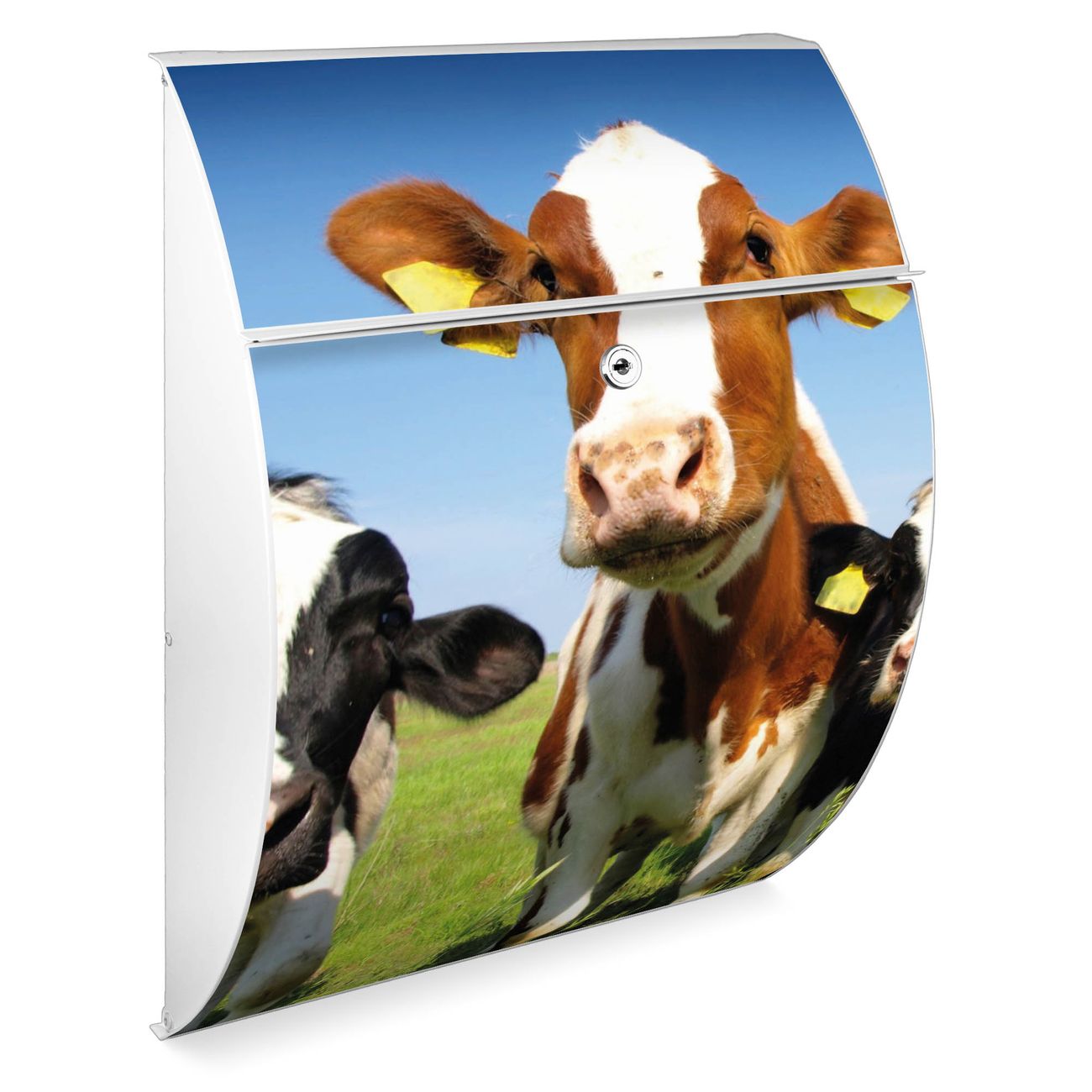 banjado Burg-Wächter Briefkasten Anthrazit mit Motiv Kühe, Postkasten Stahl pulverbeschichtet mit Kippdach und Öffnungsstopp, halbrunde Form