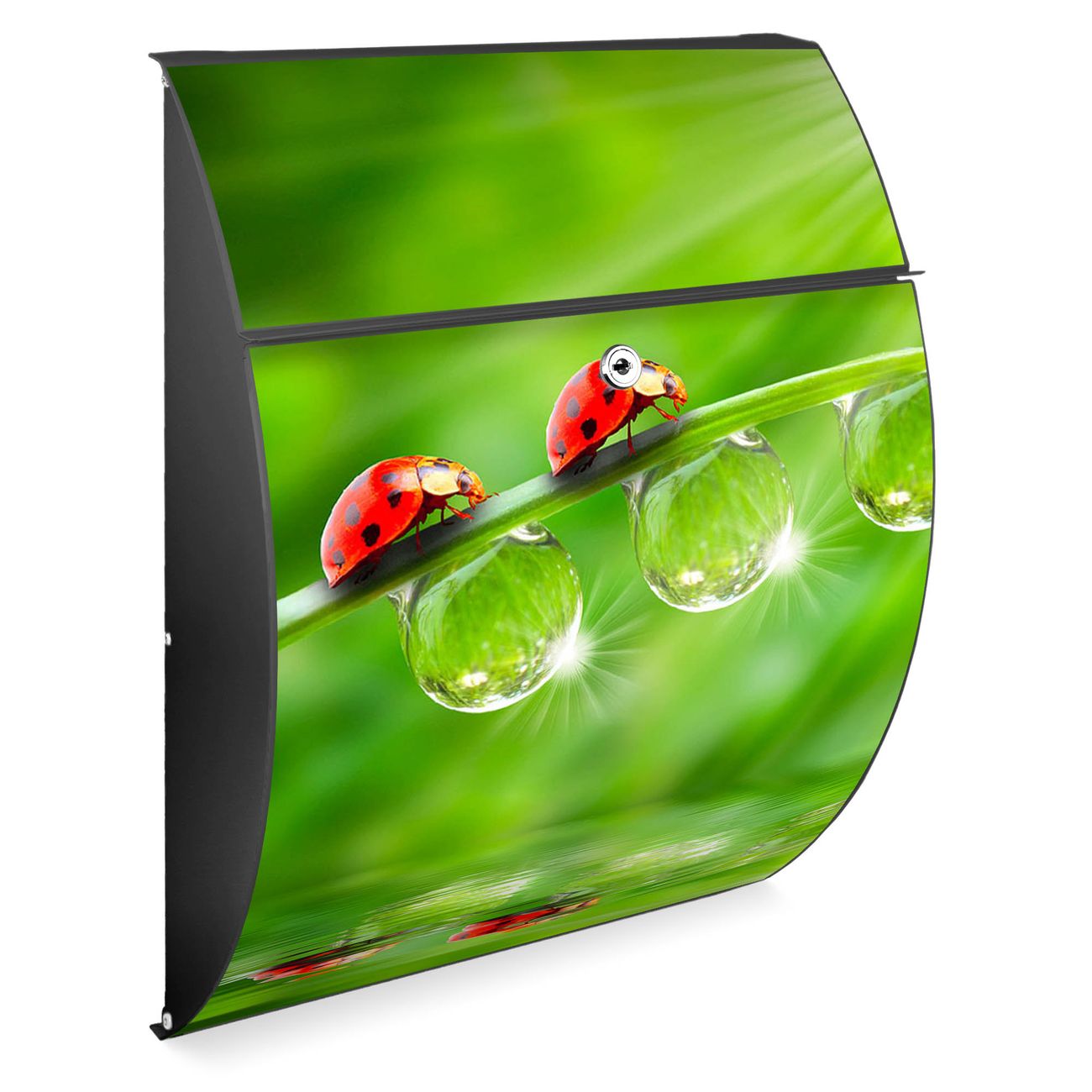 banjado Burg-Wächter Briefkasten Anthrazit mit Motiv Marienkäfer, Postkasten Stahl pulverbeschichtet mit Kippdach und Öffnungsstopp, halbrunde Form