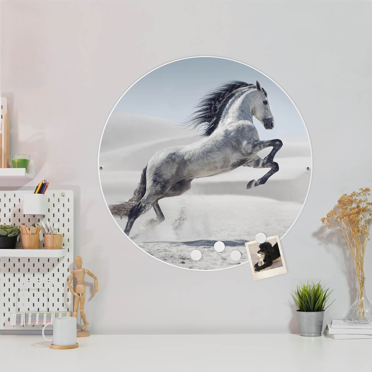 banjado Stahl Magnettafel rund 47cm Magnetwand mit Motiv Wildes Pferd Motiv Pinnwand pulverbeschichtet & magnetisch superflach 1mm einfache Montage