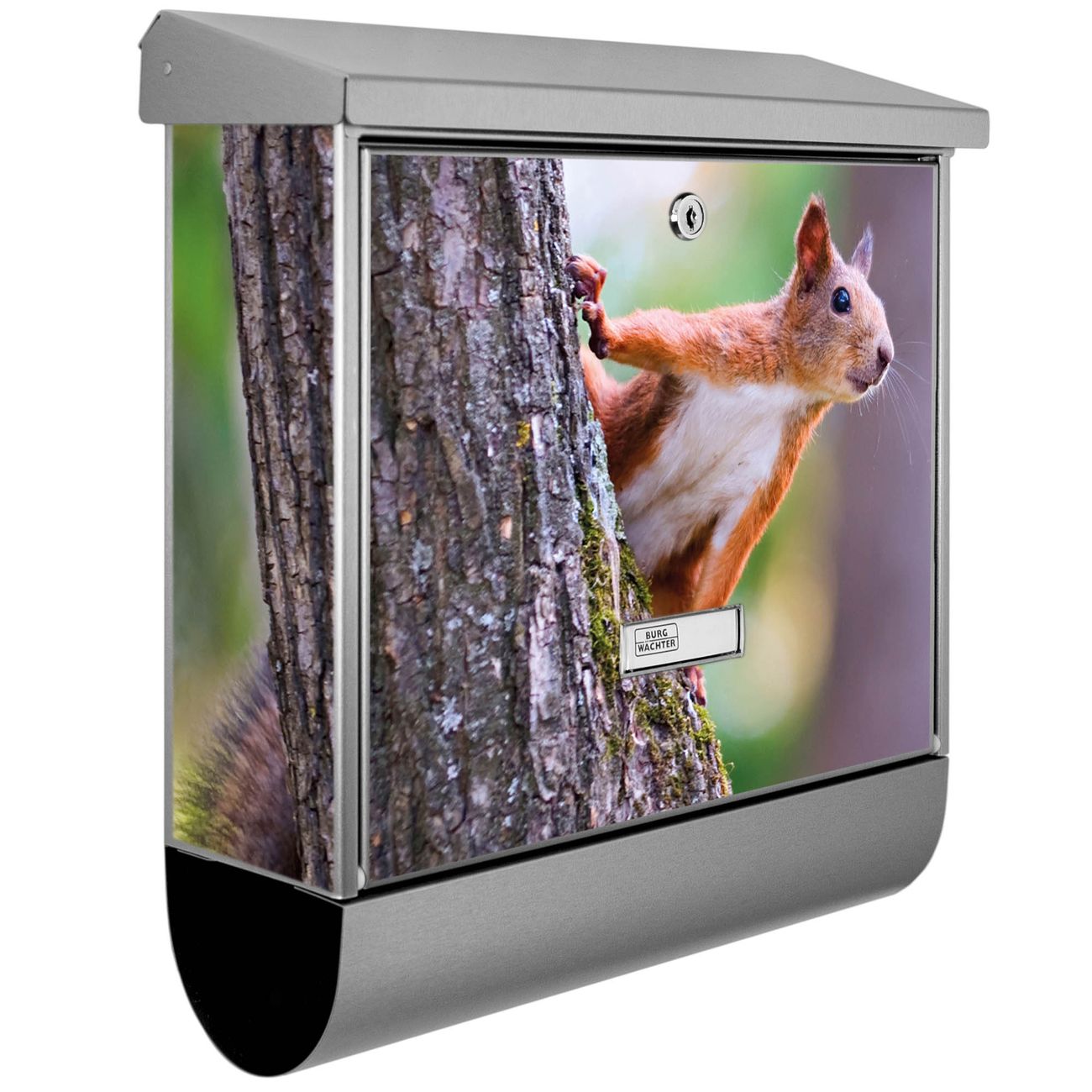Burg-Wächter Edelstahl Briefkasten groß mit integriertem Zeitungsfach und Namensschild Motiv Eichhörnchen, 2 Schlüsse sowie Montagematerial inklusive
