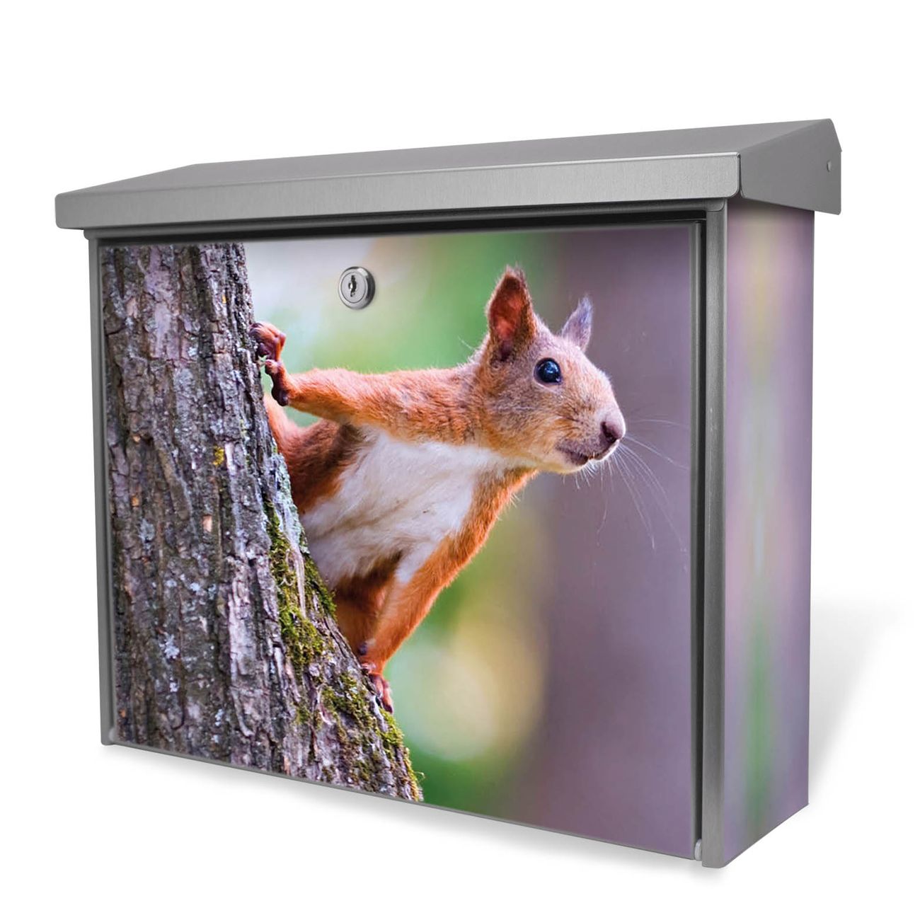 Burg-Wächter Edelstahl Briefkasten groß mit integriertem Zeitungsfach und Namensschild Motiv Eichhörnchen, 2 Schlüsse sowie Montagematerial inklusive