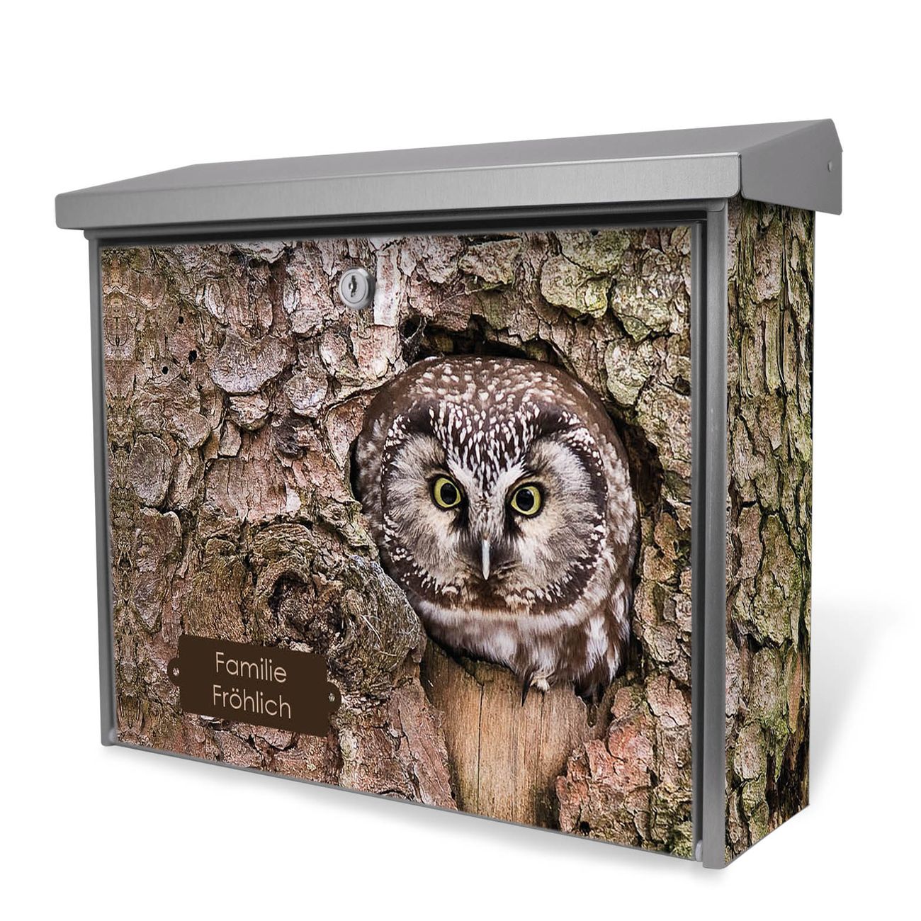 Burg-Wächter Edelstahl Briefkasten groß mit integriertem Zeitungsfach und Namensschild Motiv Eule, 2 Schlüsse sowie Montagematerial inklusive
