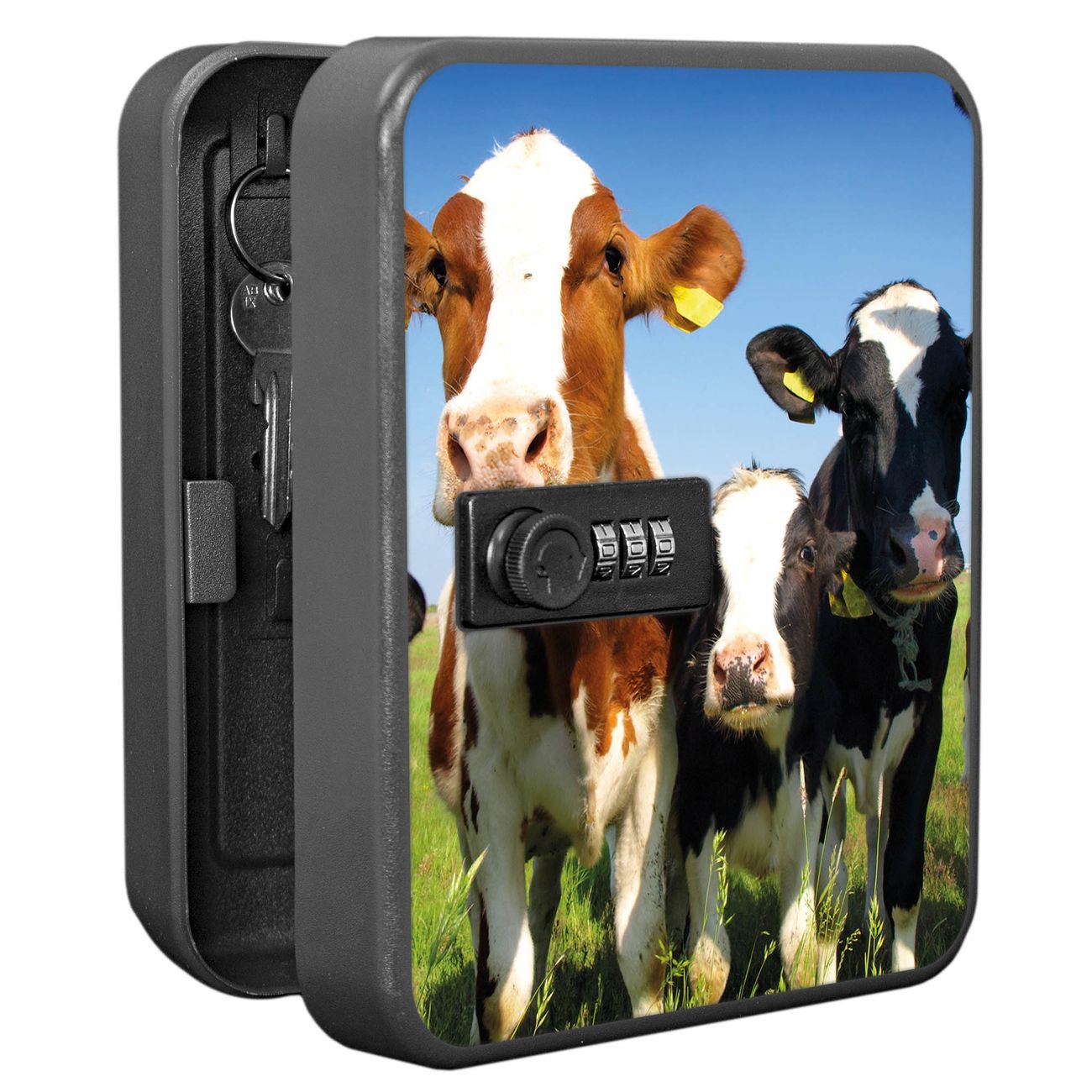 Schlüsselkasten abschließbar Motiv Kühe Klein