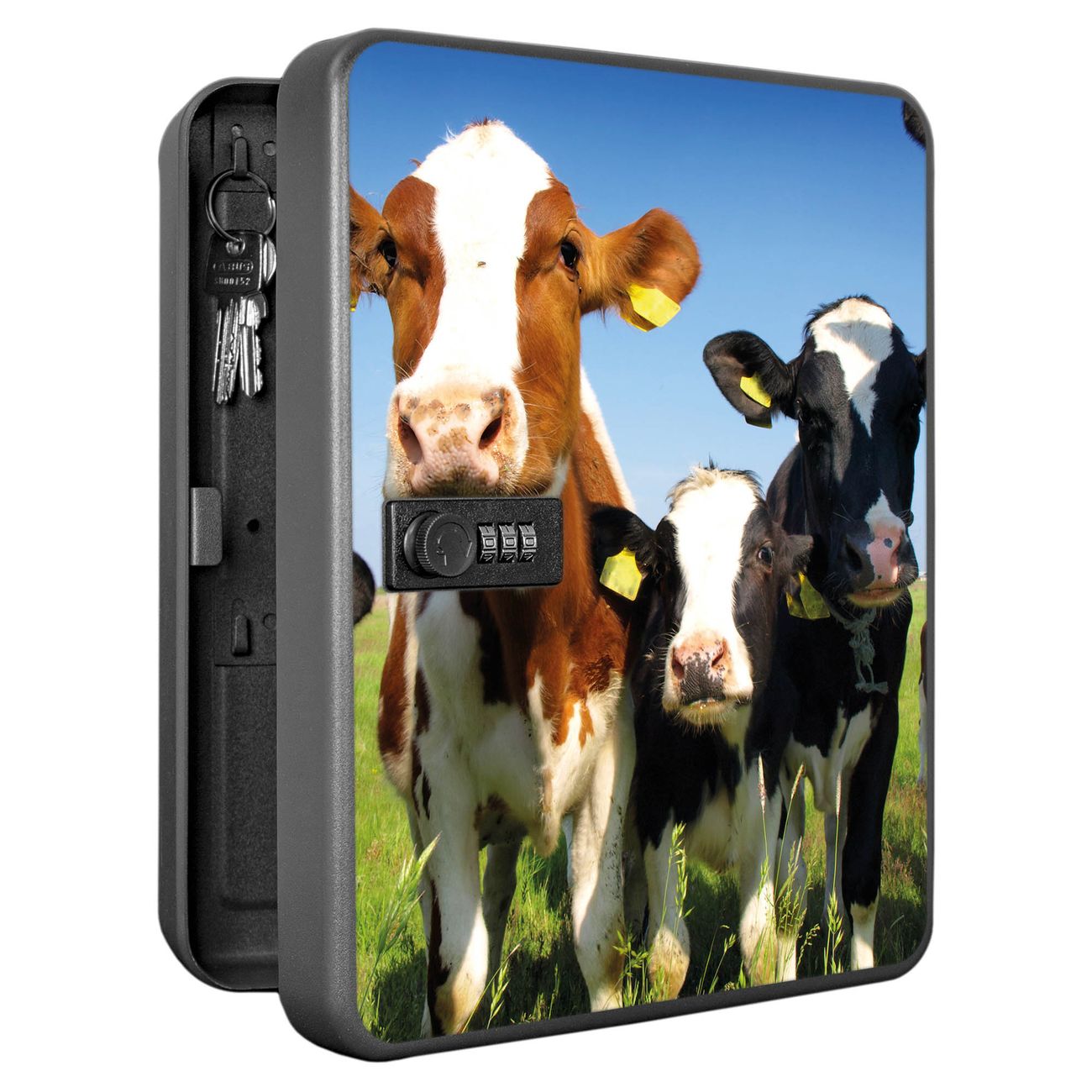 Schlüsselkasten abschließbar Motiv Kühe Groß