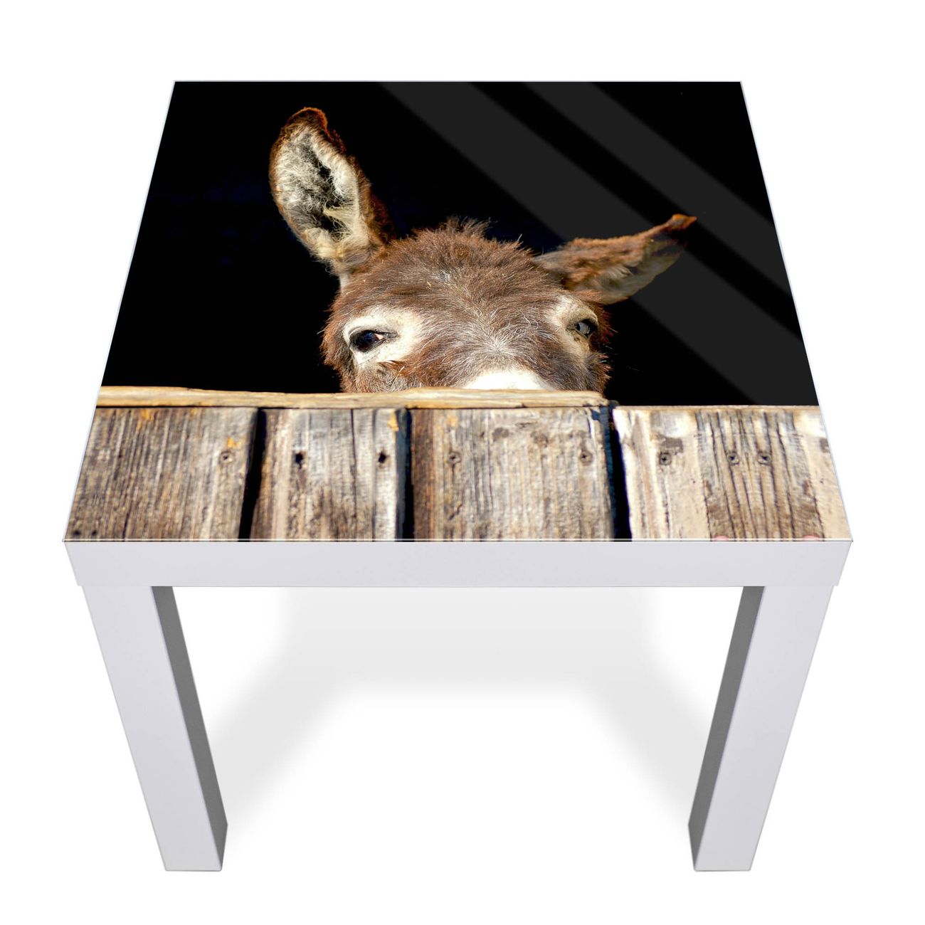 Glas Abdeckplatte IKEA LACK Esel