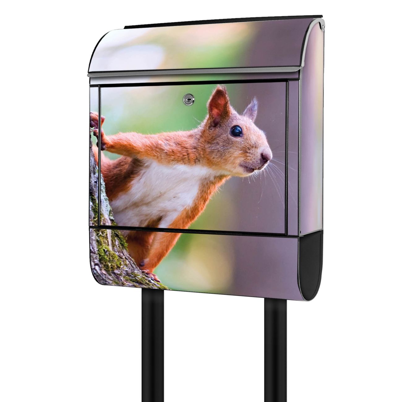 banjado Briefkasten freistehend modern mit Motiv Eichhörnchen 38x161,5x16cm mit Zeitungsfach pulverbeschichtet, 2 Schlüssel, Montageanleitung
