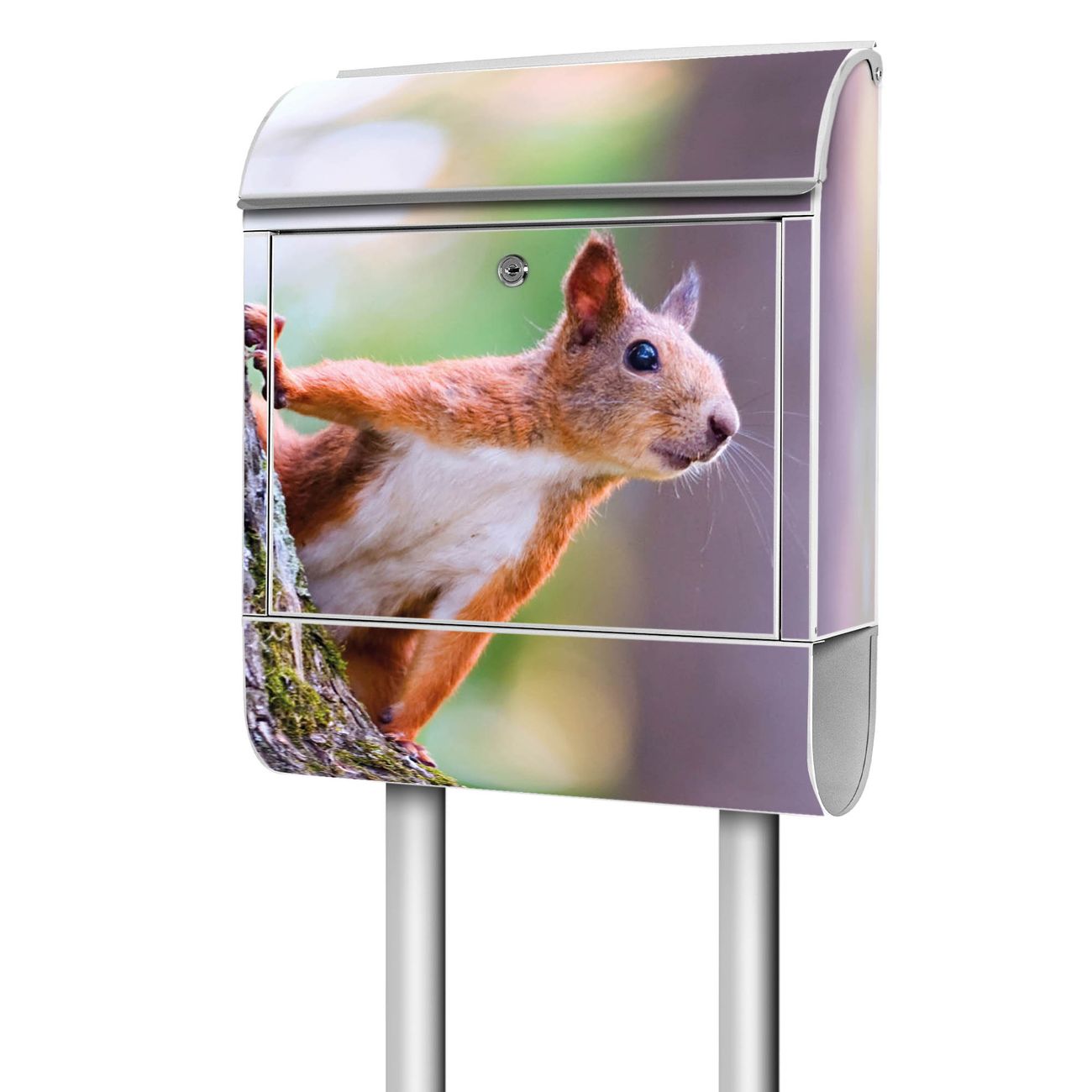 banjado Briefkasten freistehend modern mit Motiv Eichhörnchen 38x161,5x16cm mit Zeitungsfach pulverbeschichtet, 2 Schlüssel, Montageanleitung
