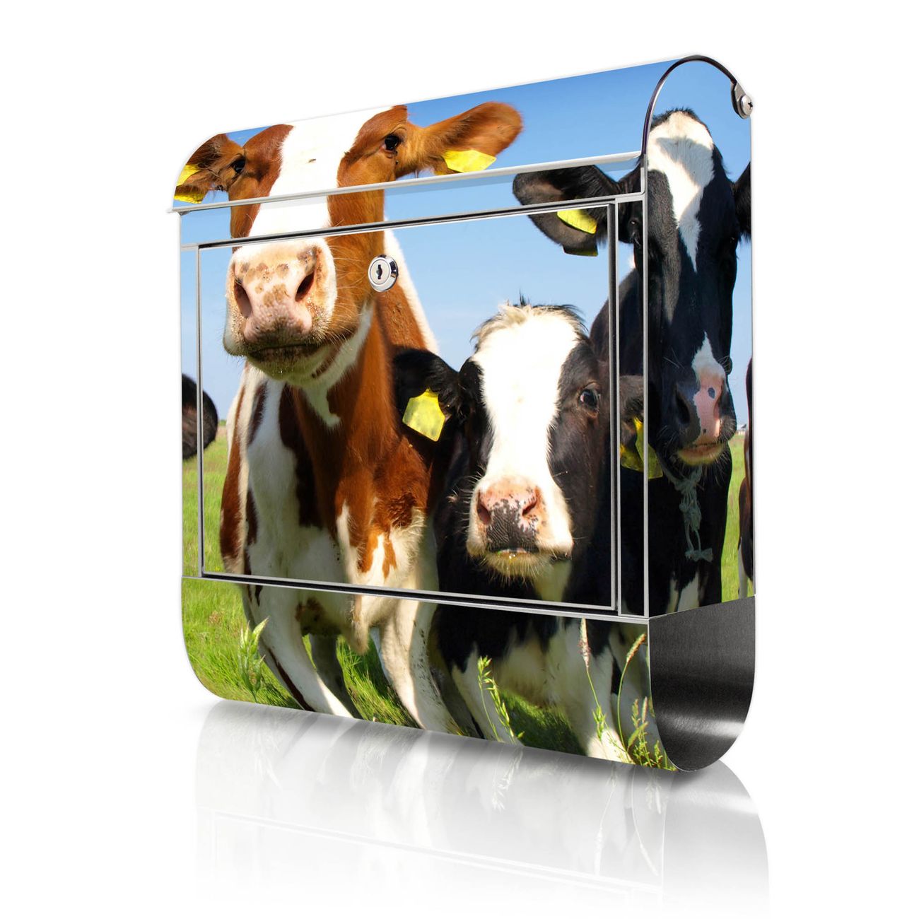 banjado großer Edelstahl Briefkasten, mit Zeitungsbox und Motiv Kühe 38x43x12,5cm - Postkasten A4 Einwurf inkl. Montagematerial und 2 Schlüssel