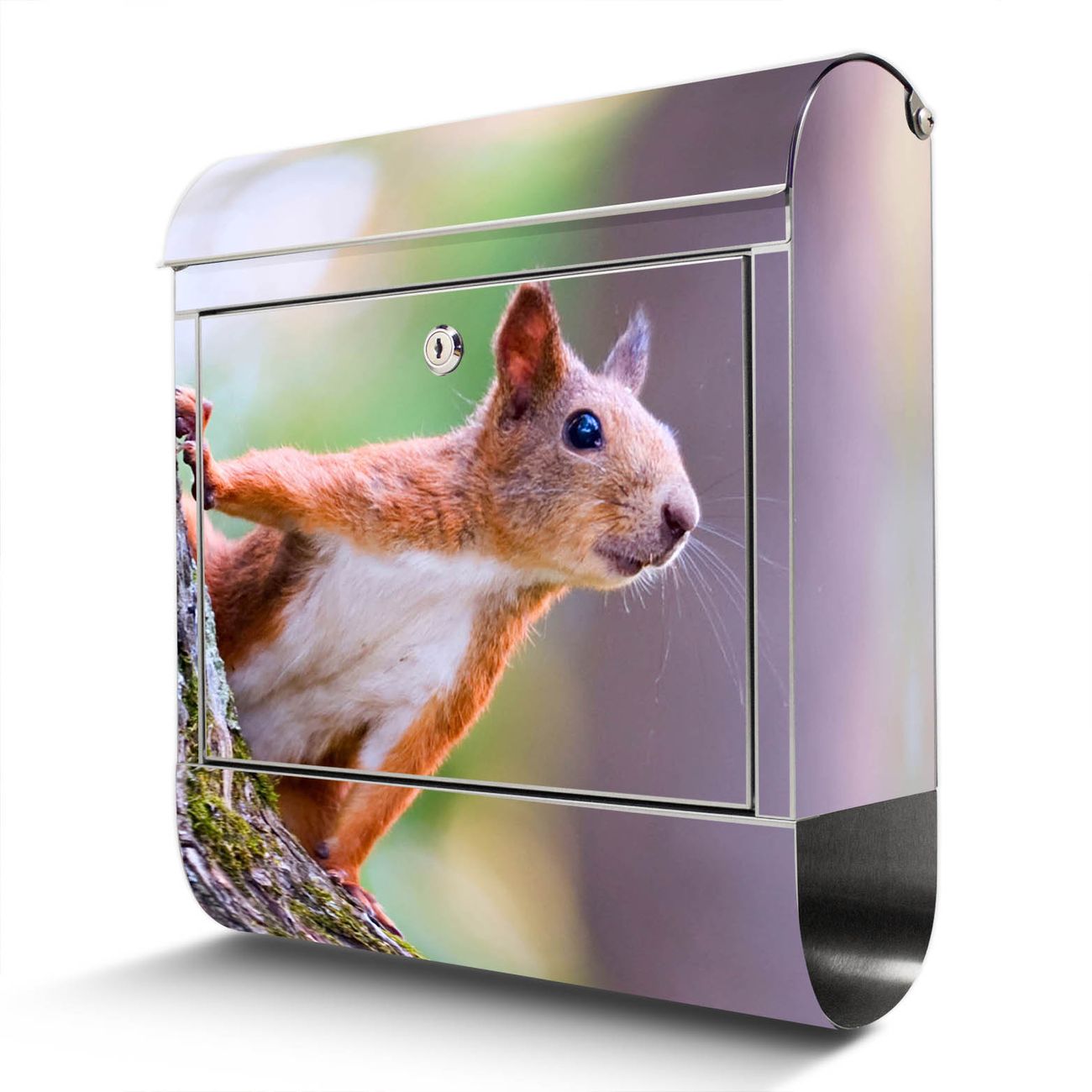 banjado Edelstahl Briefkasten mit Zeitungsfach, personalisiert mit Motiv Eichhörnchen 38x43x12,5cm, Wandbriefkasten ausgefallen bunt inkl. Montagematerial