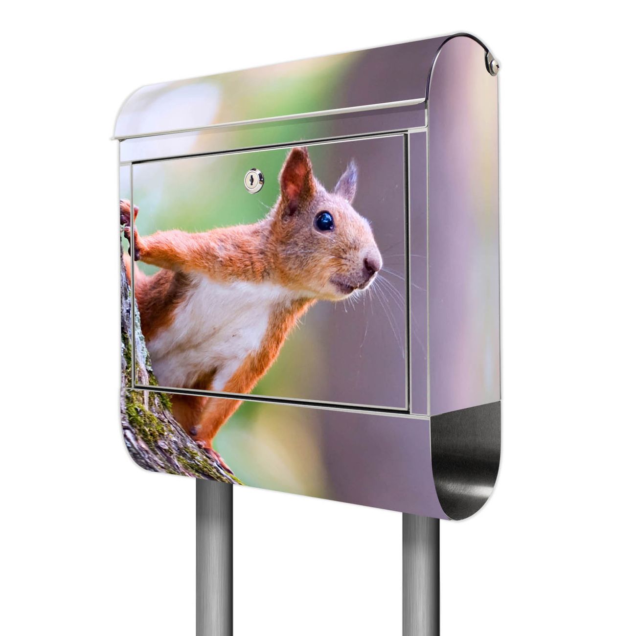 banjado Edelstahl Standbriefkasten personalisiert mit Motiv Eichhörnchen 38x161,5x14cm - Wandbriefkasten ausgefallen bunt inkl. Montagematerial