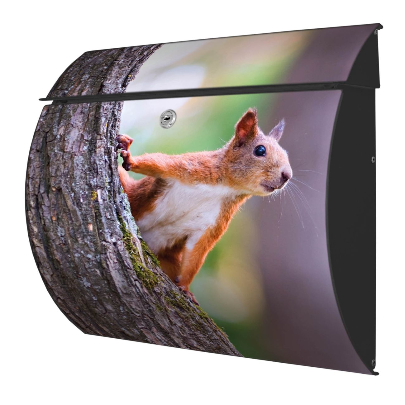 banjado Burg-Wächter Postkasten Toscana mit Motiv Eichhörnchen 38x33x11cm, 2 Schlüssel - Briefkasten Edelstahl - A4 Einwurf Anthrazit