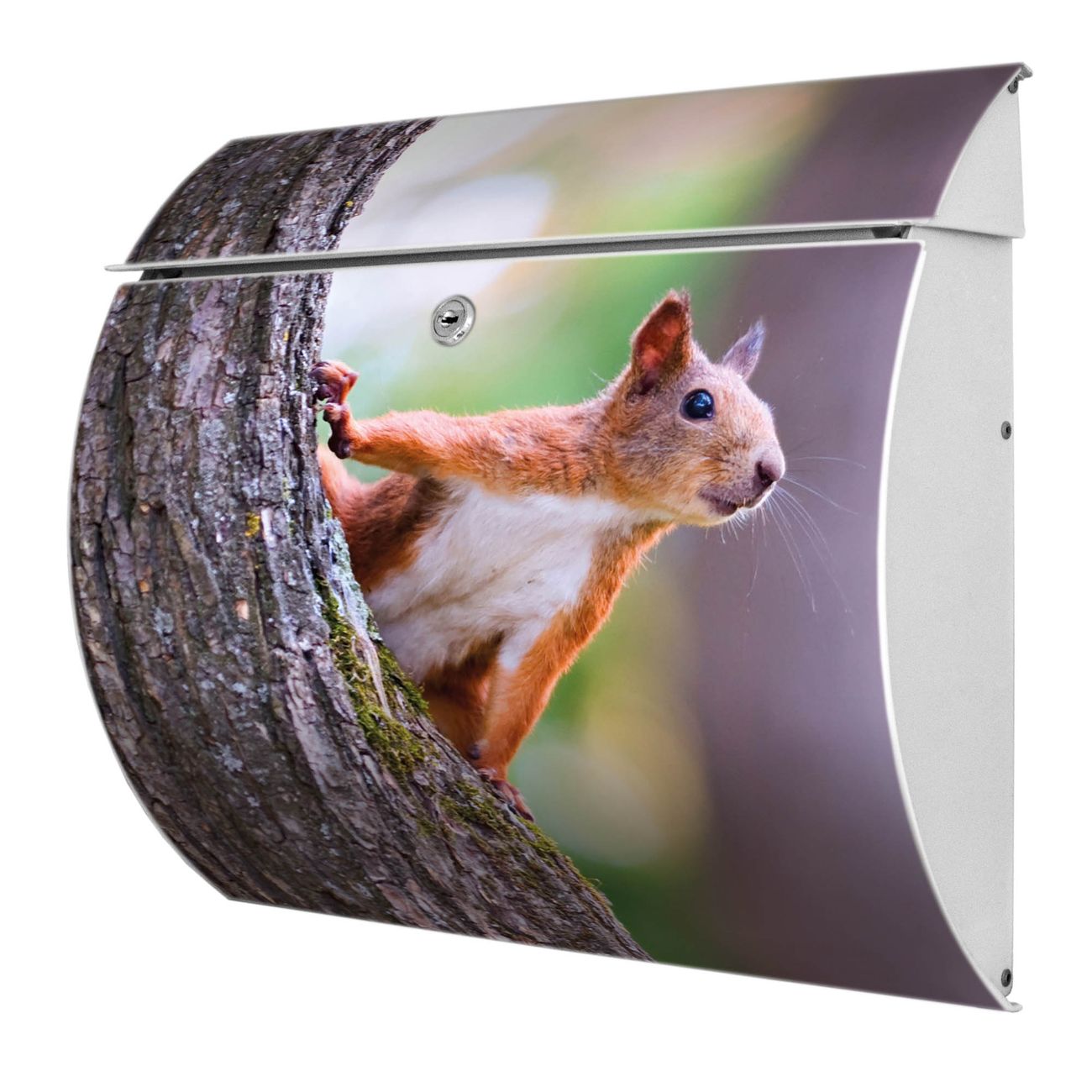 banjado Burg-Wächter Postkasten Toscana mit Motiv Eichhörnchen 38x33x11cm, 2 Schlüssel - Briefkasten Edelstahl - A4 Einwurf Weiß