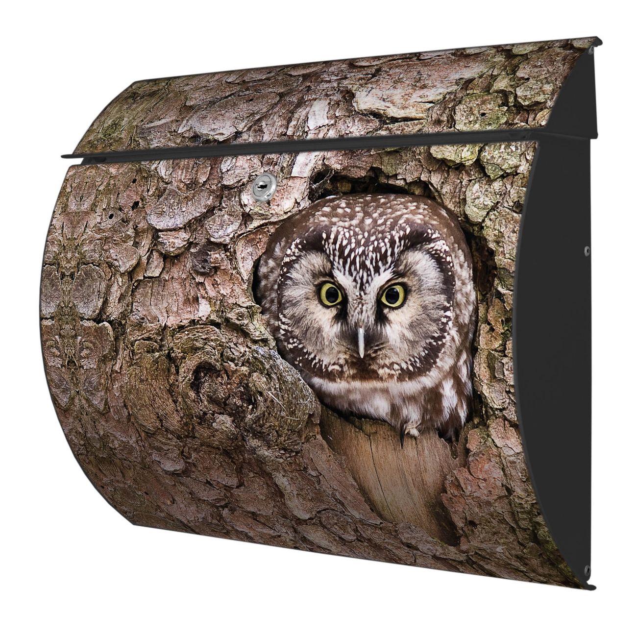 Burg-Wächter Toscana Briefkasten bunt mit Motiv Eule 38x33x11cm - Stahl und Edelstahl, 2 Schlüssel, mit personalisierung Anthrazit