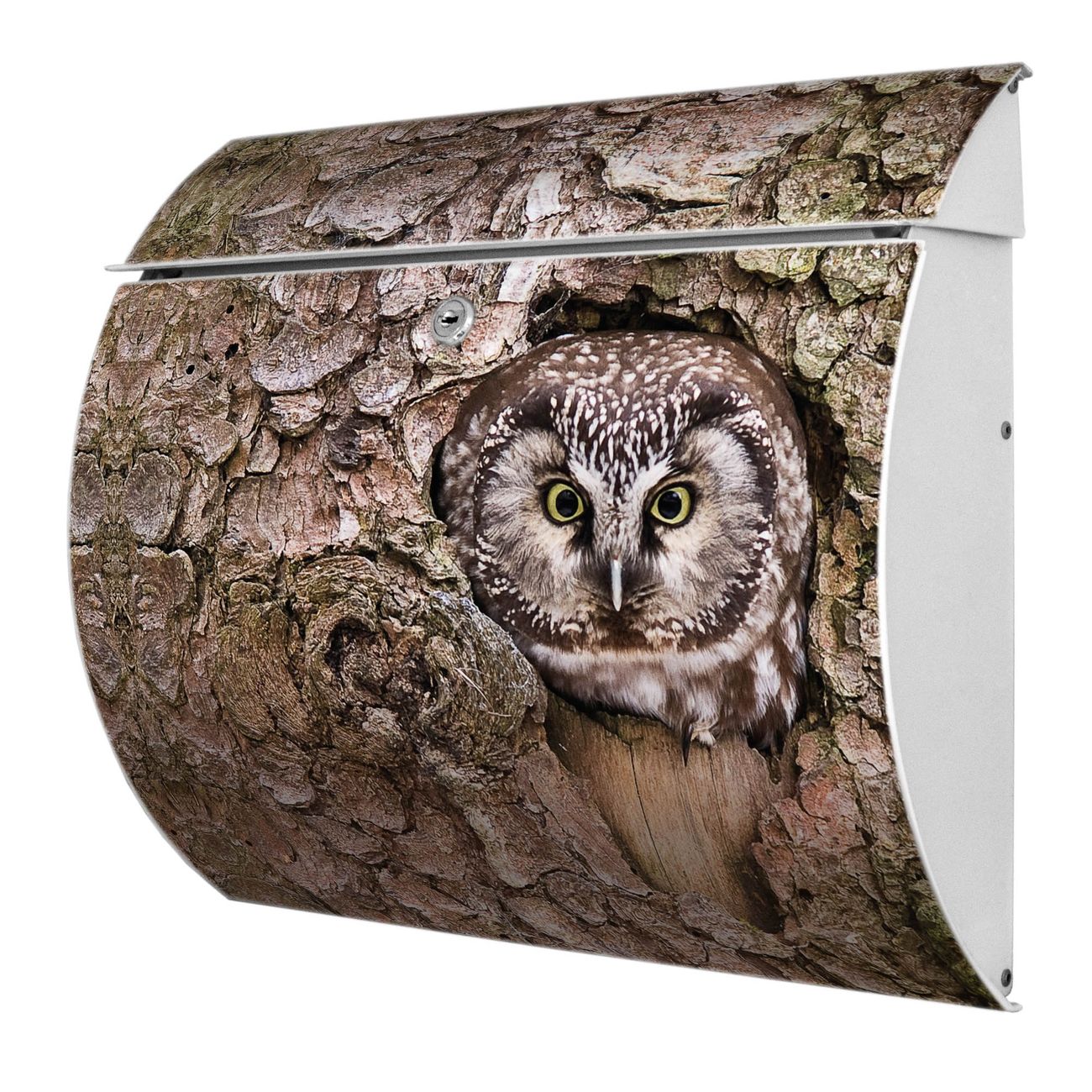 Burg-Wächter Toscana Briefkasten bunt mit Motiv Eule 38x33x11cm - Stahl und Edelstahl, 2 Schlüssel, mit personalisierung Weiß