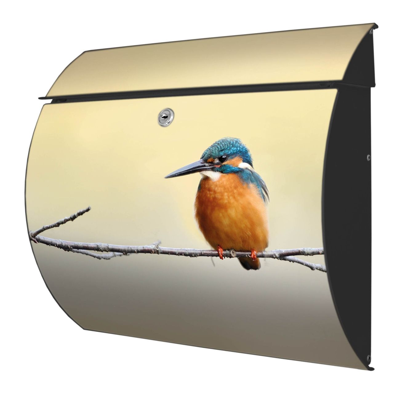 Burg-Wächter Toscana Briefkasten bunt mit Motiv Pause 38x33x11cm - Stahl und Edelstahl, 2 Schlüssel, mit personalisierung Anthrazit