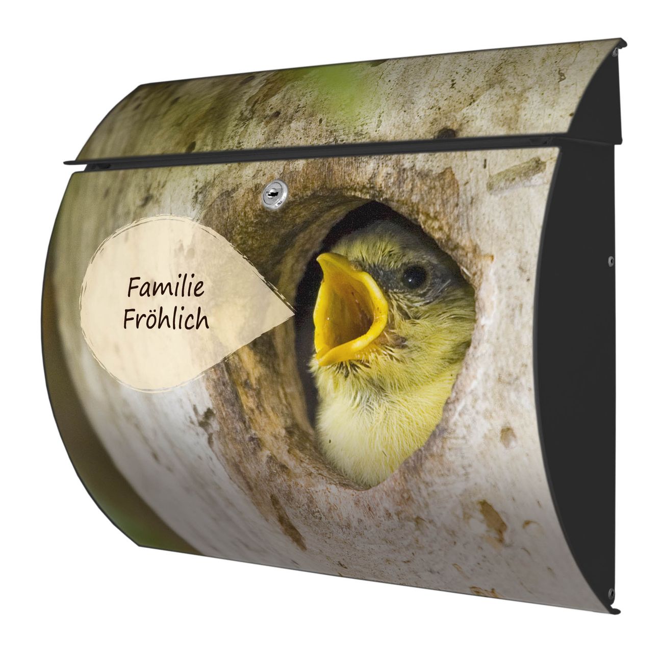 banjado Burg-Wächter Postkasten Toscana mit Motiv Blaumeise 38x33x11cm, 2 Schlüssel - Briefkasten Edelstahl - A4 Einwurf Anthrazit