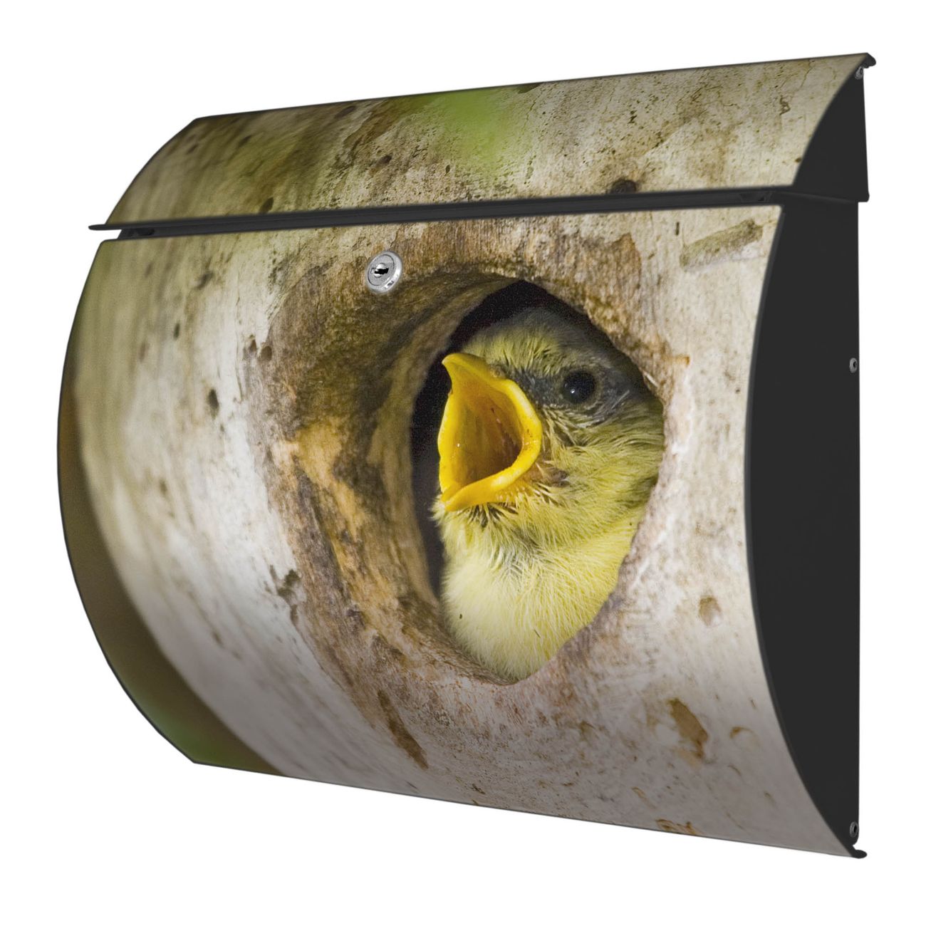 banjado Burg-Wächter Postkasten Toscana mit Motiv Blaumeise 38x33x11cm, 2 Schlüssel - Briefkasten Edelstahl - A4 Einwurf Anthrazit