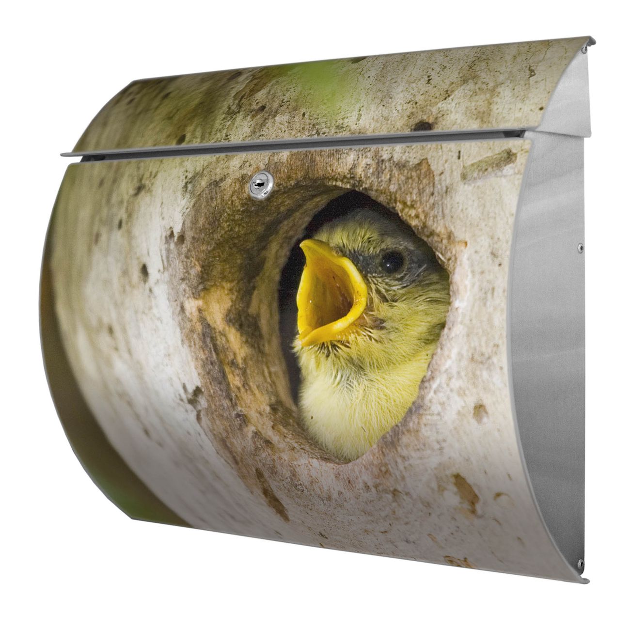 banjado Burg-Wächter Postkasten Toscana mit Motiv Blaumeise 38x33x11cm, 2 Schlüssel - Briefkasten Edelstahl - A4 Einwurf Edelstahl