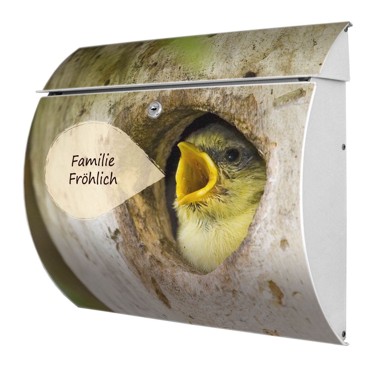 banjado Burg-Wächter Postkasten Toscana mit Motiv Blaumeise 38x33x11cm, 2 Schlüssel - Briefkasten Edelstahl - A4 Einwurf Weiß