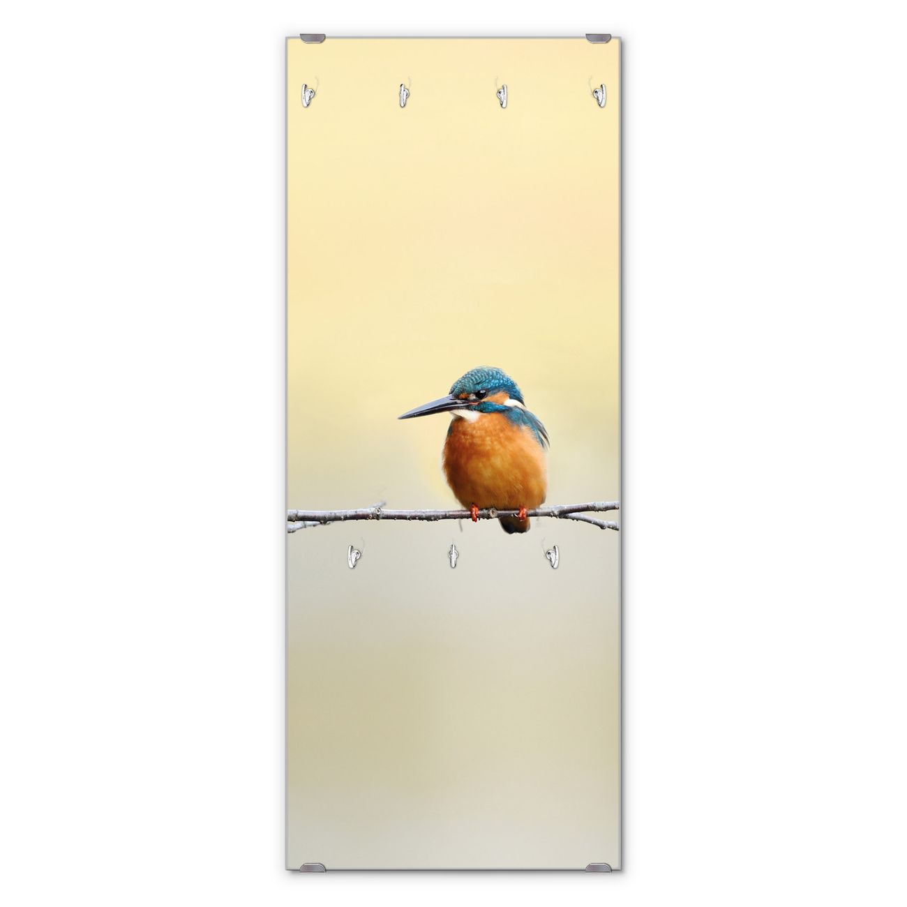 banjado Wandgarderobe aus Echtglas, 50x125cm groß, Paneel mit 7 Haken und Motiv Pause, Garderobenleiste mit Montagematerial, Design Flurgarderobe