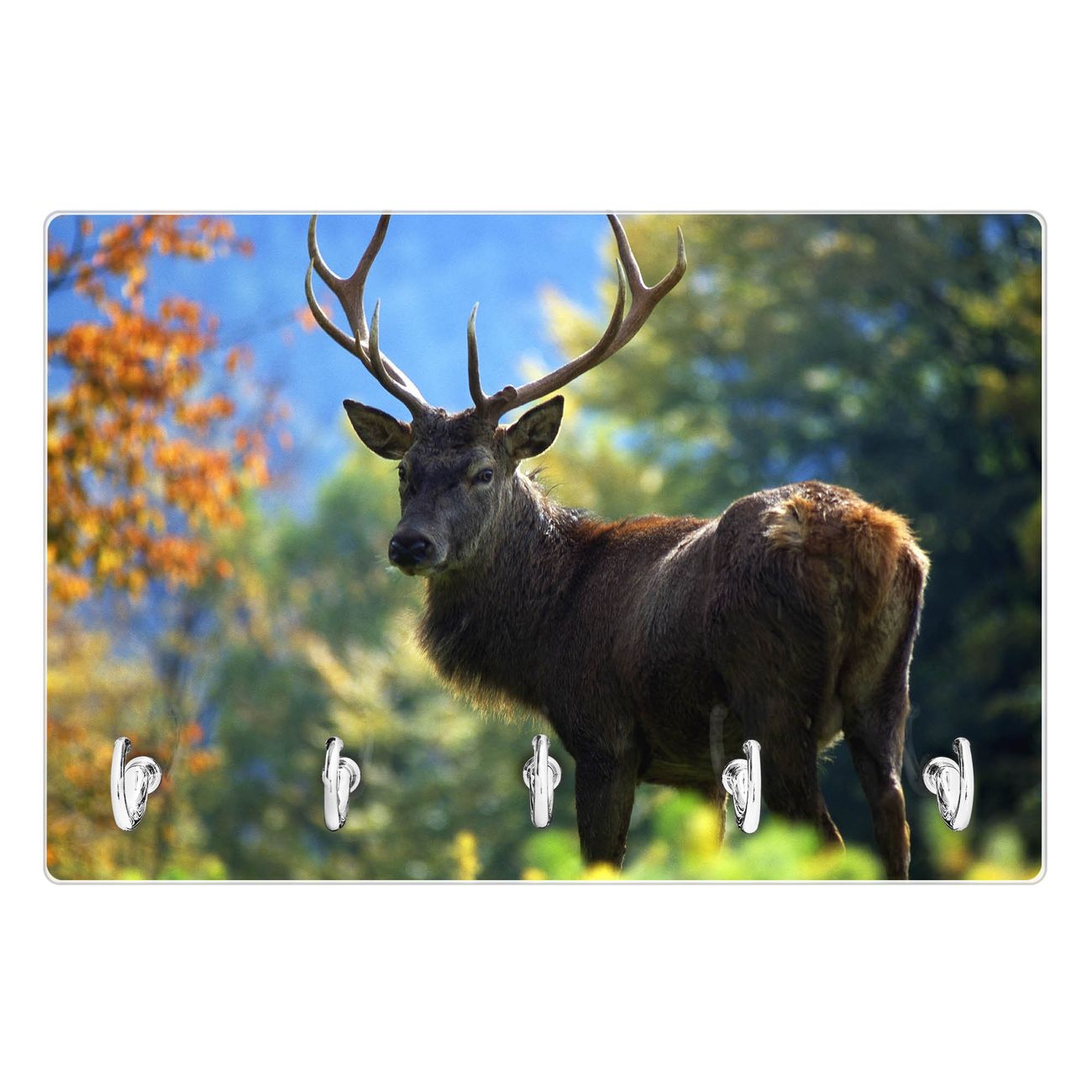 Modernes Schlüsselbrett aus Glas von banjado, Schlüsselboard 30cm x 20cm mit 5 Haken, Schlüsselleiste beschreibbar und magnetisch mit Motiv Hirsch