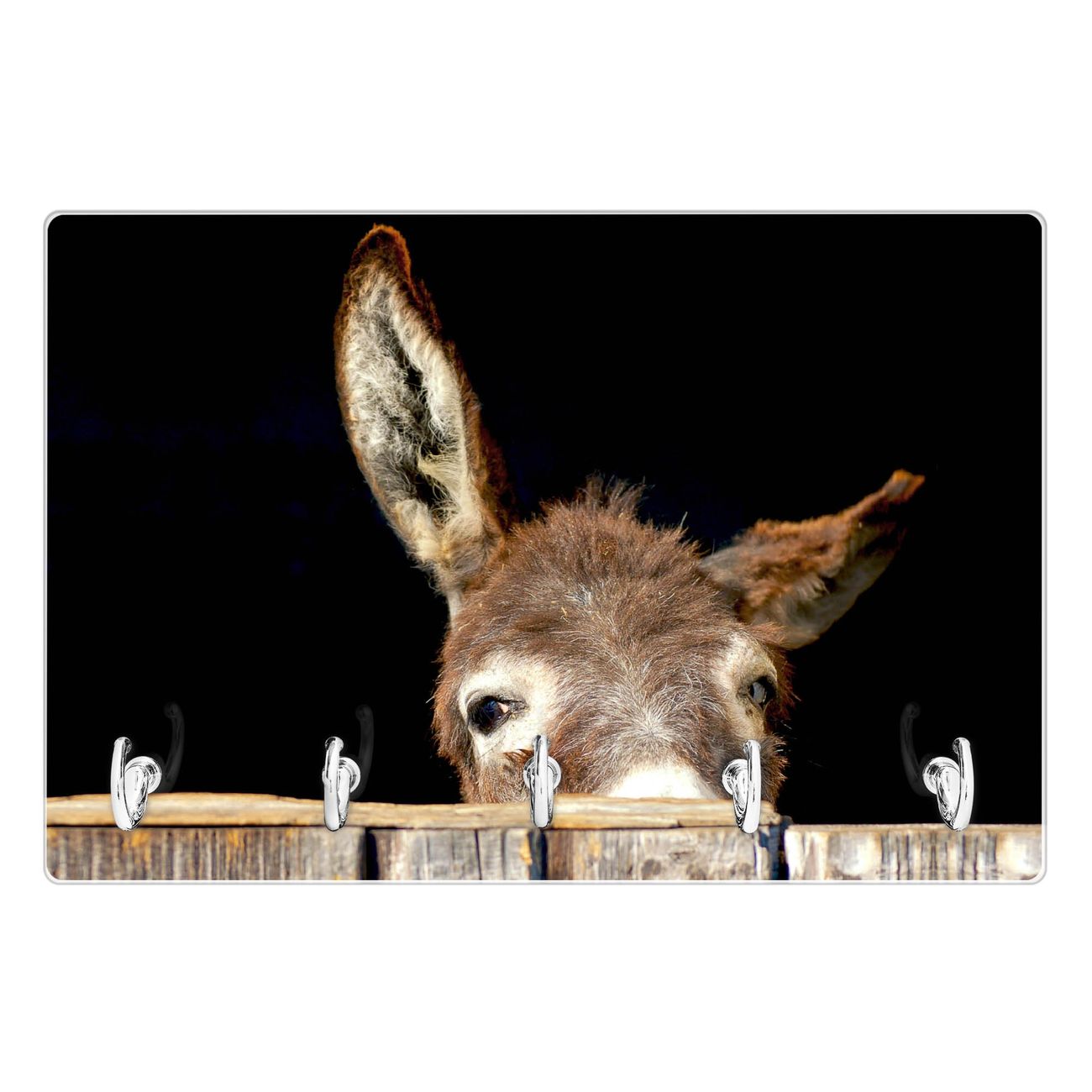 Modernes Schlüsselbrett aus Glas von banjado, Schlüsselboard 30cm x 20cm mit 5 Haken, Schlüsselleiste beschreibbar und magnetisch mit Motiv Esel