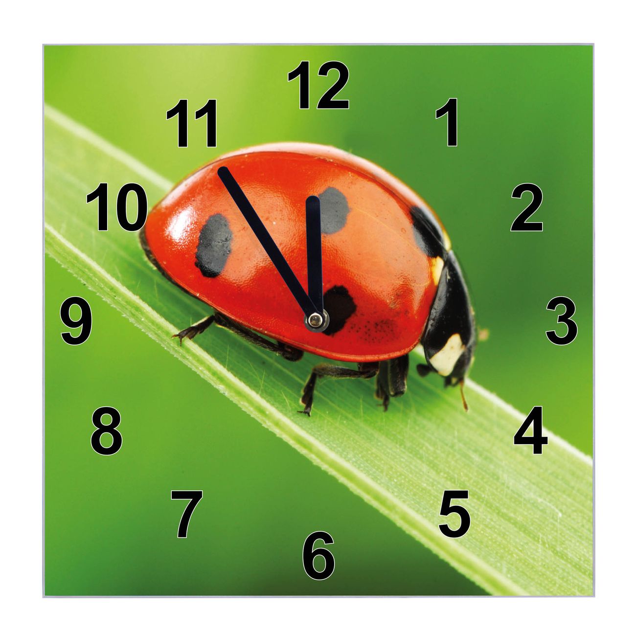 banjado Wanduhr aus echtem Glas mit Motiv Marienkäfer, geräuscharme Wanduhr modern, 30x30cm quadratisch als Wanduhr Küche, Wohnzimmer Uhr, Uhr Flur