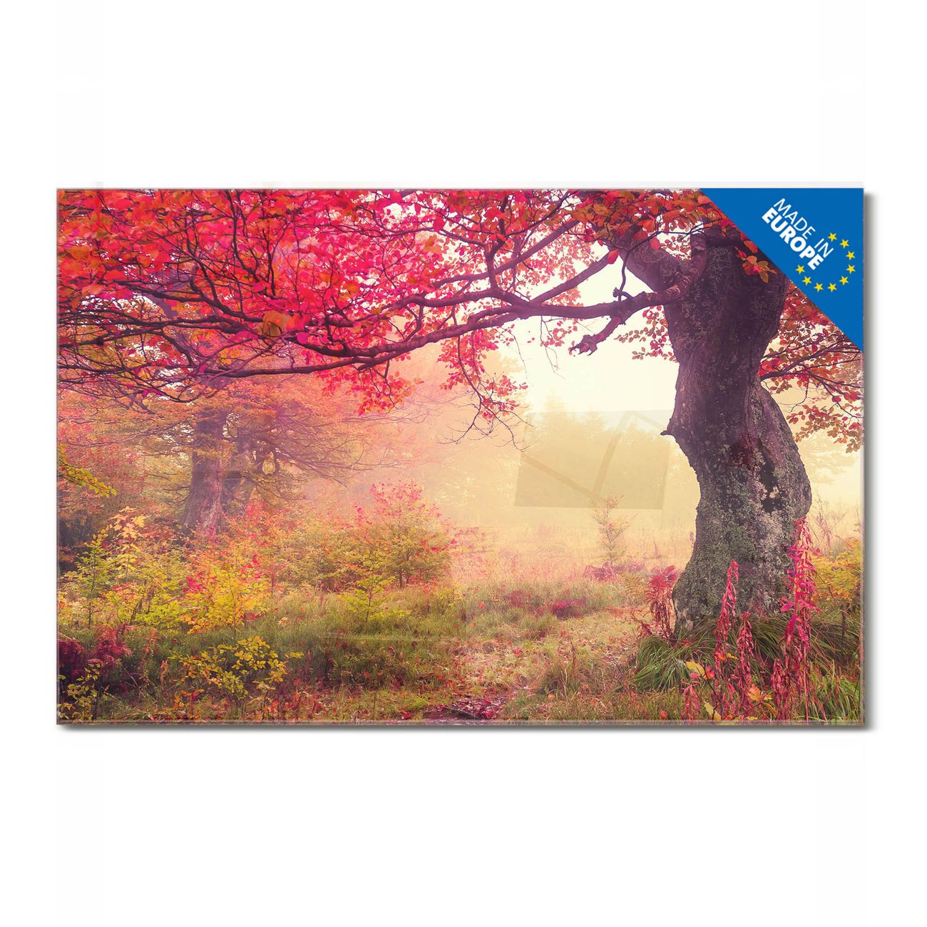 banjado Glas Magnettafel Motiv Lichtung Im Herbst 90 x 60 cm rahmenlos & hochwertig, Querformat, magnetisch & beschreibbar, 4mm starkes ESG Glas