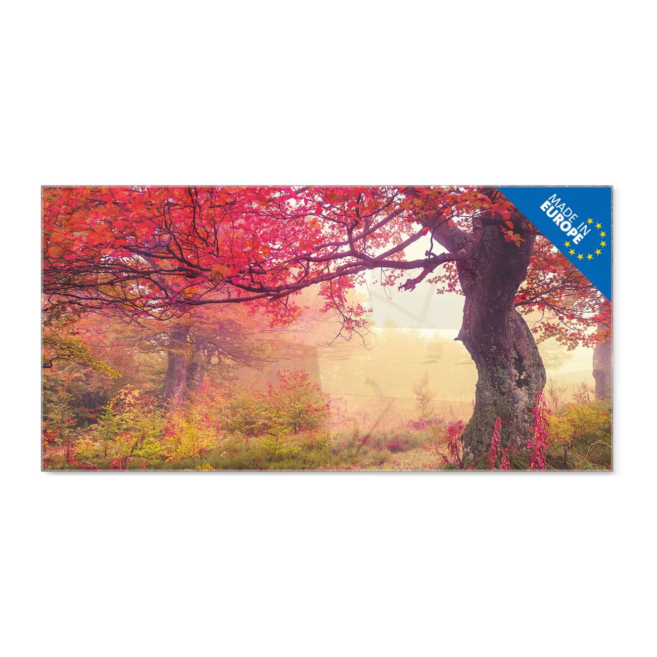 banjado Glas Magnettafel Motiv Lichtung Im Herbst 100 x 50 cm rahmenlos & hochwertig, Querformat, magnetisch & beschreibbar, 4mm starkes ESG Glas