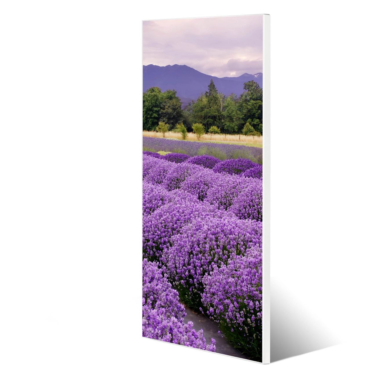 banjado Metall Magnetwand 30x75cm weiß pulverbeschichtet, Magnettafel mit Motiv Lavendel 1, rahmenlose & hochwertige Aufhängung, Wandbild Organizer