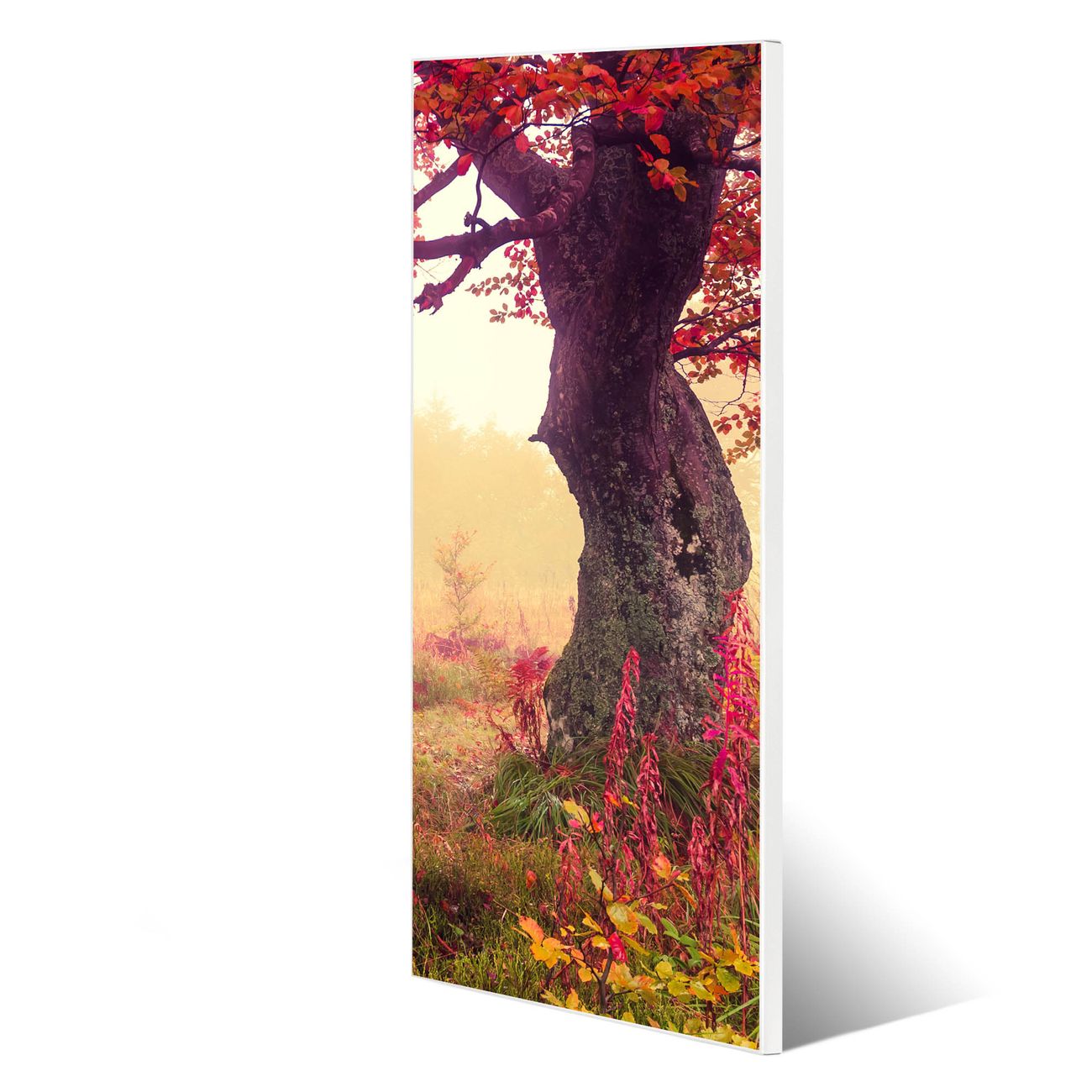 banjado Metall Magnetwand 30x75cm weiß pulverbeschichtet, Magnettafel mit Motiv Lichtung Im Herbst, rahmenlose & hochwertige Aufhängung, Wandbild Organizer