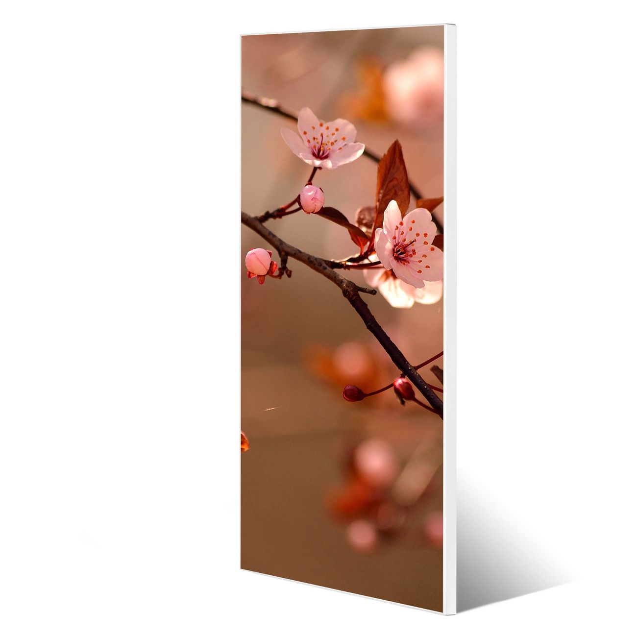 banjado Metall Magnetwand 30x75cm weiß pulverbeschichtet, Magnettafel mit Motiv Blühender Kirschzweig, rahmenlose & hochwertige Aufhängung, Wandbild Organizer