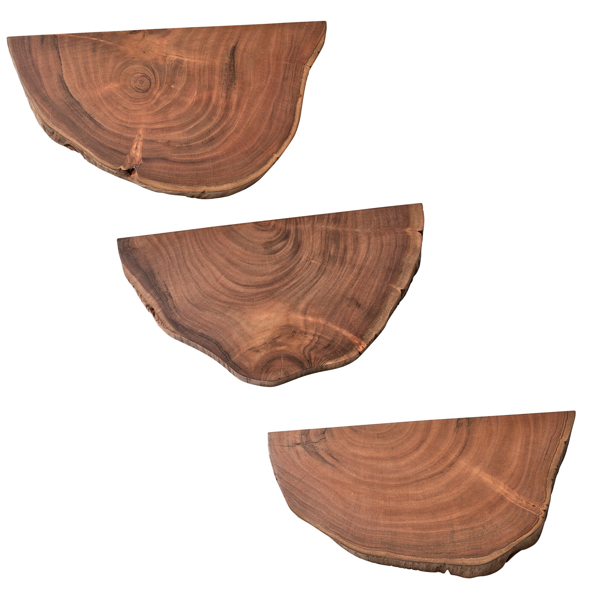 FineBuy Wandregal 3er Set Akazie Vollholz Hängeregal Baumscheibe, Natur Pflanzentreppe für die Wand, Schweberegal Hängend mit Baumkante, Blumentreppe Baumstamm Modern