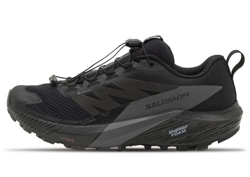 Salomon Sense Ride 5 GTX | Laufschuhe für Herren | Schwarz