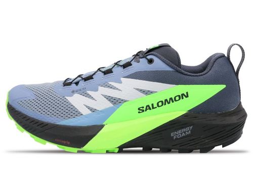 Salomon Sense Ride 5 GTX | Laufschuhe für Herren | Grau