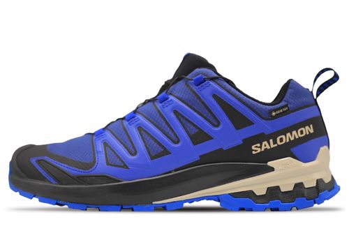 Salomon XA Pro 3D V9 GTX | Wanderschuhe für Herren | Blue/prnt/the Web/lapis