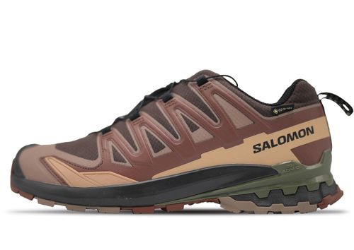 Salomon XA Pro 3D V9 GTX | Wanderschuhe für Herren | Black Coffee/rum Raisin/olive