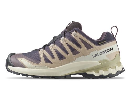Salomon XA Pro 3D V9 GTX | Wanderschuhe für Damen | Nine Iron / Oxford Tan / Alfalfa