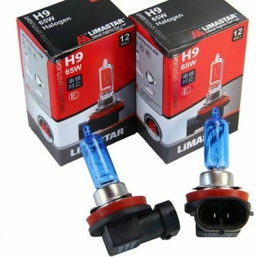 2x H9 65W Xenon Look Super White Birnen Lampen Blaues Glas E-Prüfzeichen