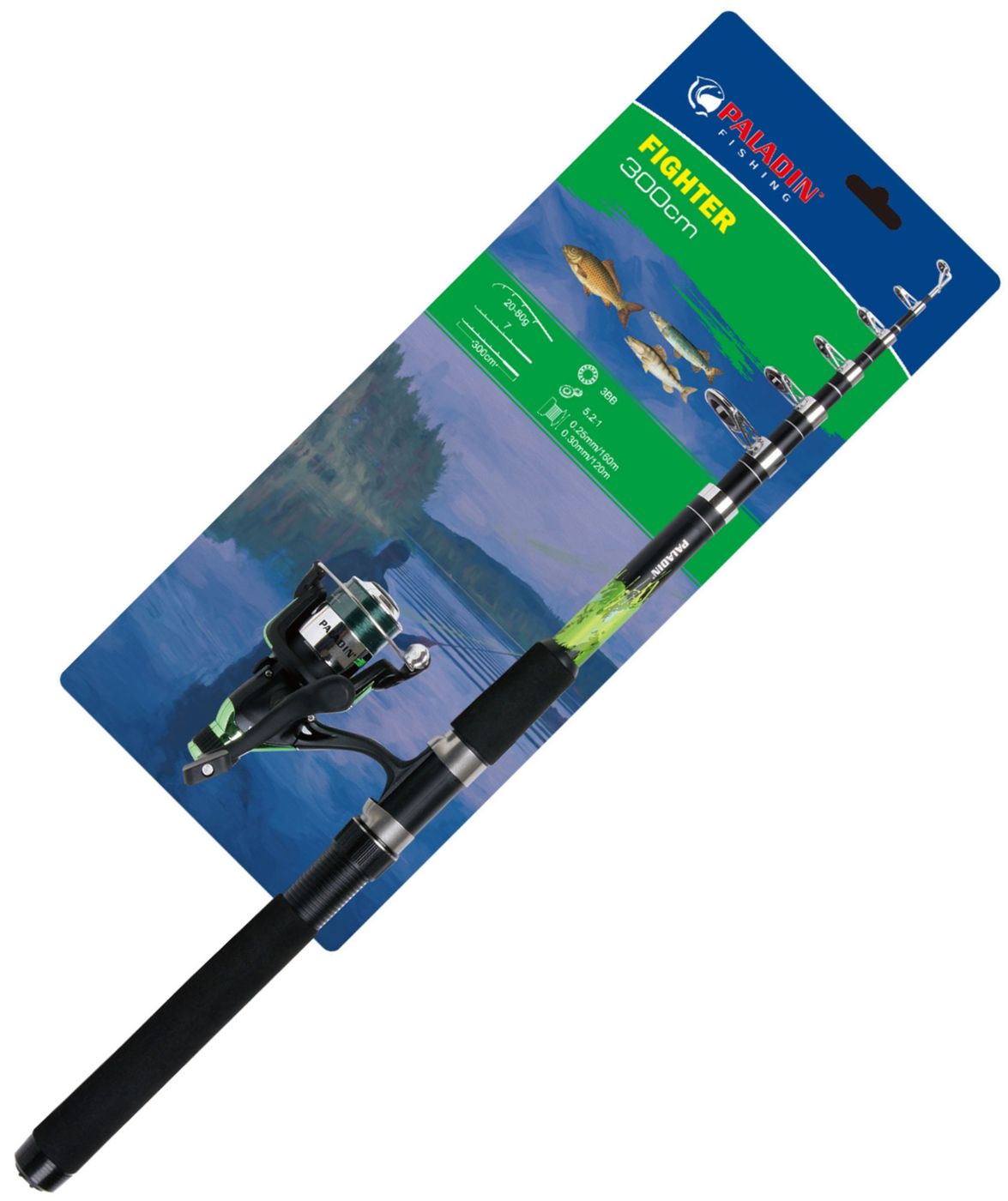 Paladin Angelset Karpfen Hecht Zander Rute 300cm 20-80g +Rolle+Schnur