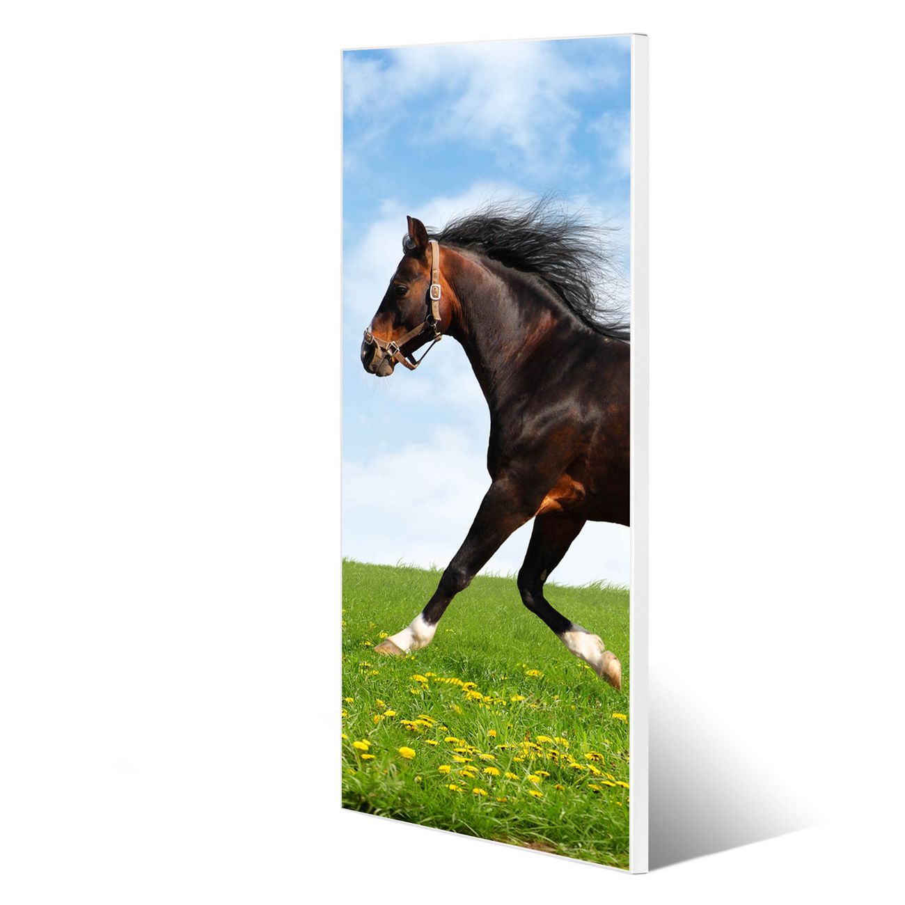 banjado Metall Magnetwand 30x75cm weiß pulverbeschichtet, Magnettafel mit Motiv Pferd, rahmenlose & hochwertige Aufhängung, Wandbild Organizer