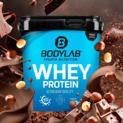 Whey Protein - 2000g - Haselnuss-Kakao