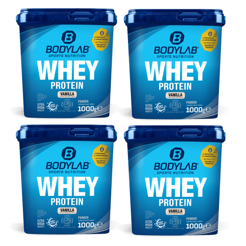 4x Whey Protein (4x1000g)