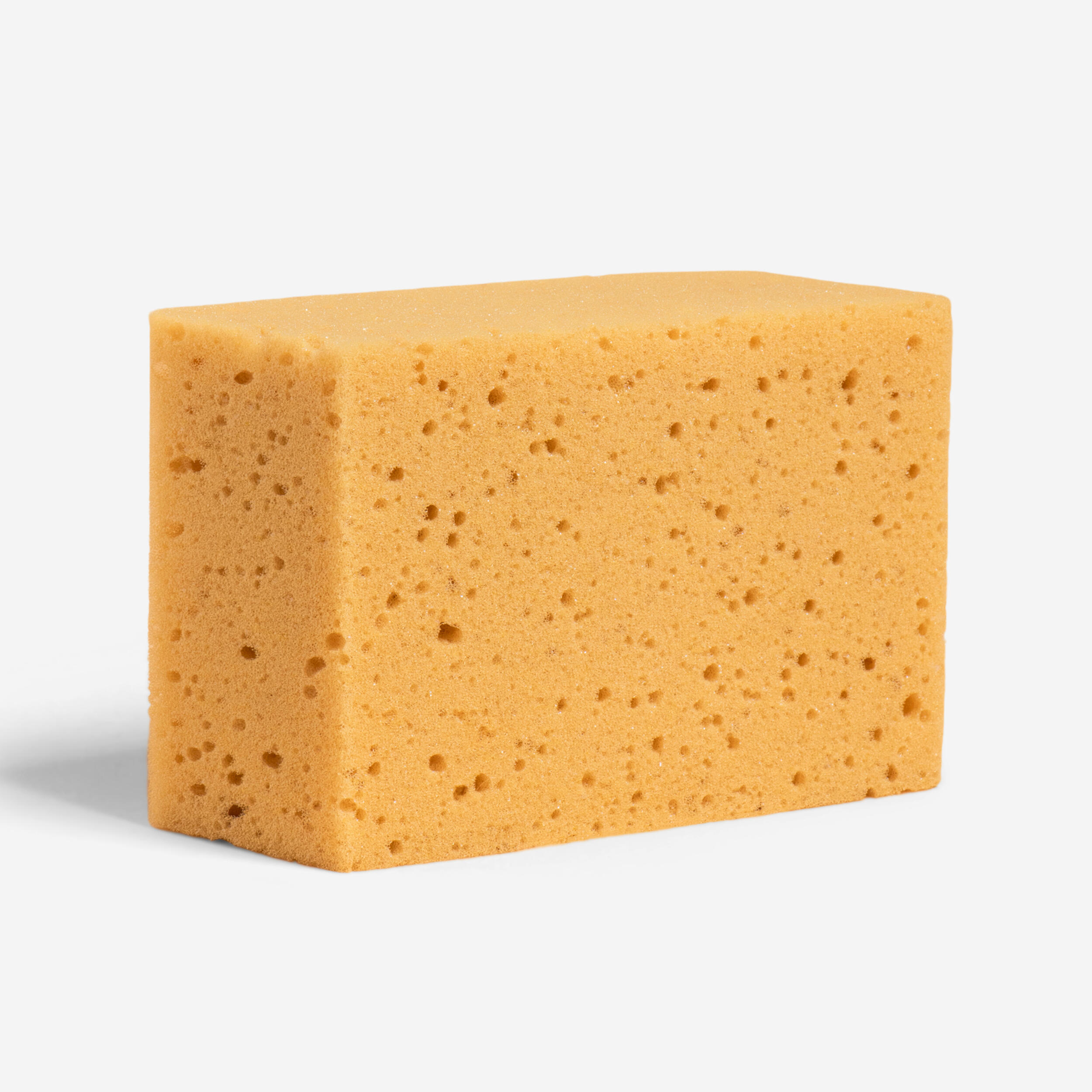 Schwamm Reitsport Pferd/Pony