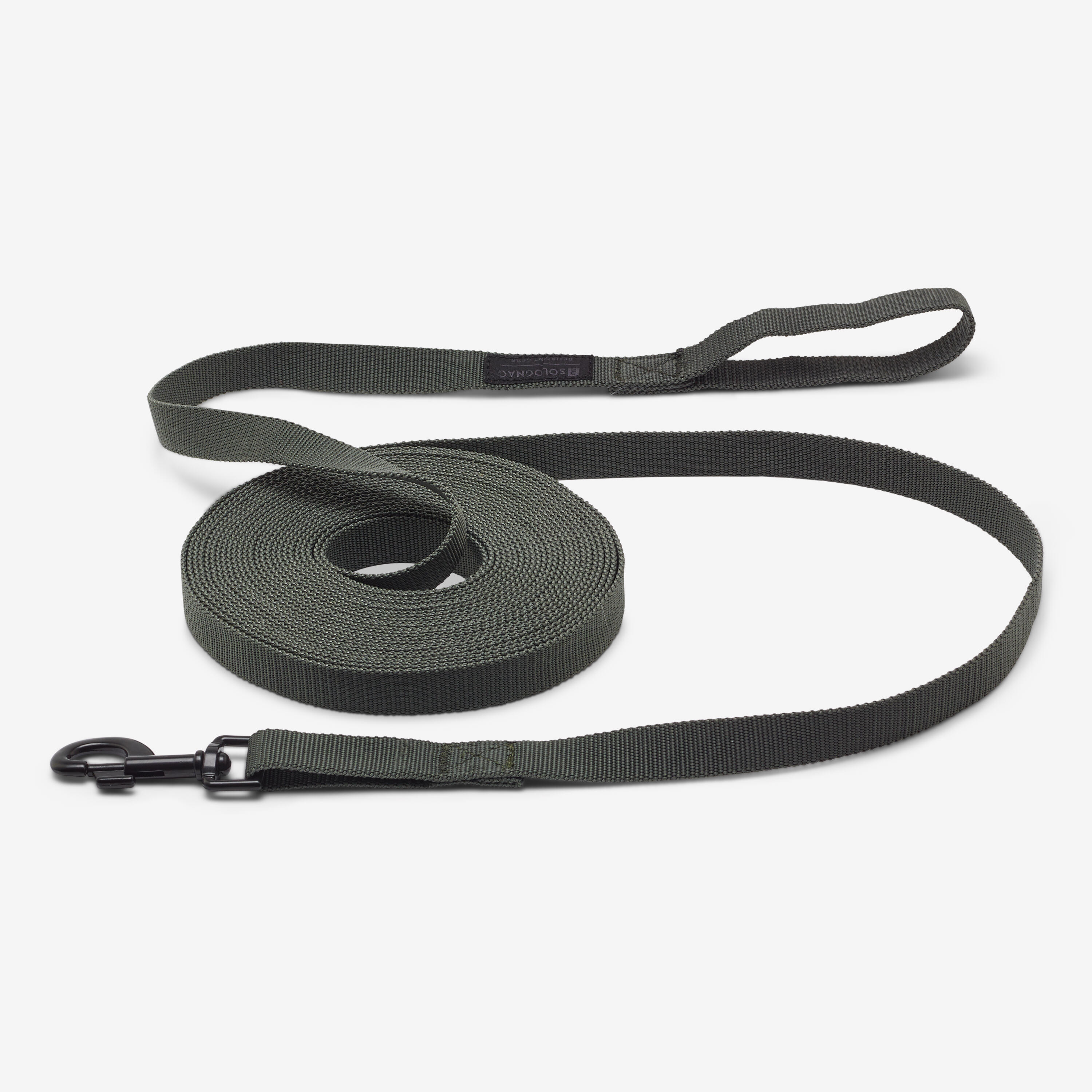 Hundeleine 100 10 m grün