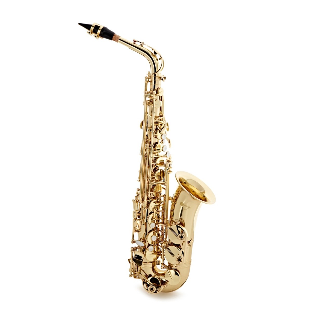 Forte As220 Es Alto Saxophon Outfit