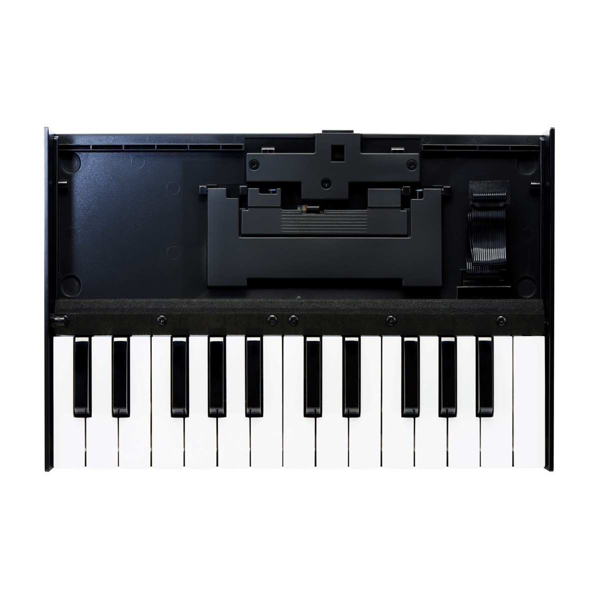 Roland K-25m Keyboard für Roland Boutique-Serie